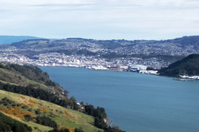 Dunedin City, Wildlife and Larnach Castle - Whats Included in the Tour