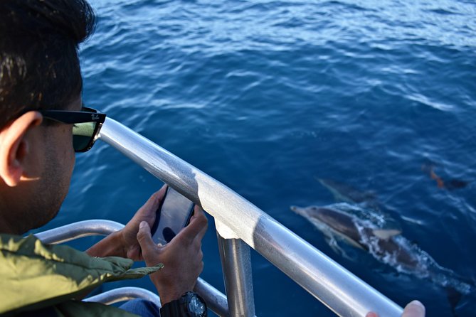 Educational Whale Watching Tour From Augusta or Perth - Wildlife Encounter Highlights