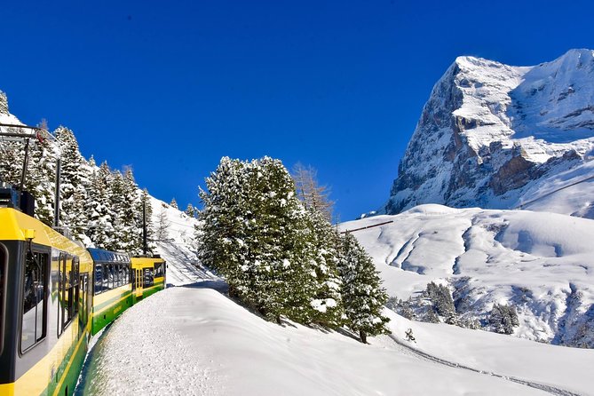 Eiger and Jungfrau Glacier Panorama Tour From Zurich - Customer Experiences and Reviews