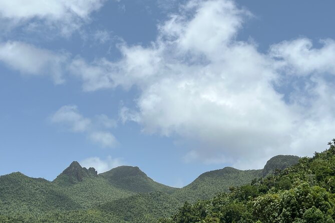 El Yunque National Forest Guided Tour With Transport - Guide Experience and Feedback