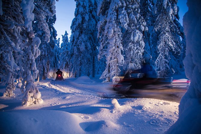 Evening Escape - Snowmobile Safari and Campfire in Rovaniemi - Reviews and Participant Feedback