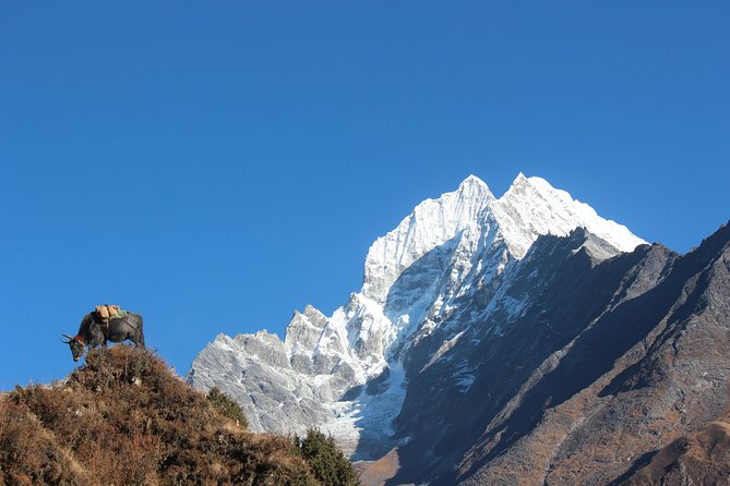 Everest Three Pass Trek - Overall Trek Experience