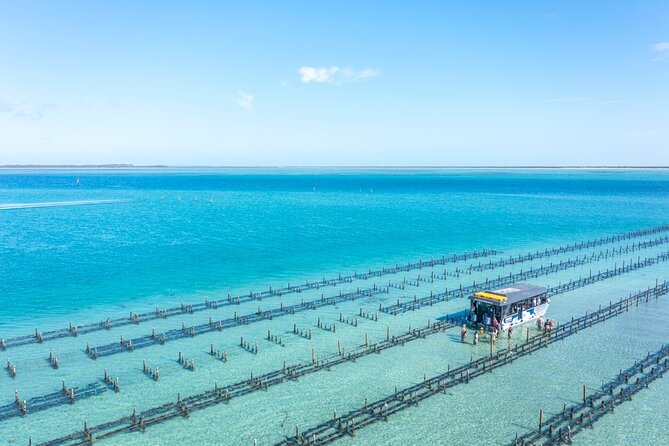 Experience Coffin Bay Oyster Farm and Bay Tour - Booking Details and Pricing