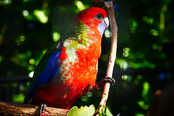 Explore Gardens & Galleries Filled With Incredible Art, Matakana - Art and Sculpture Highlights