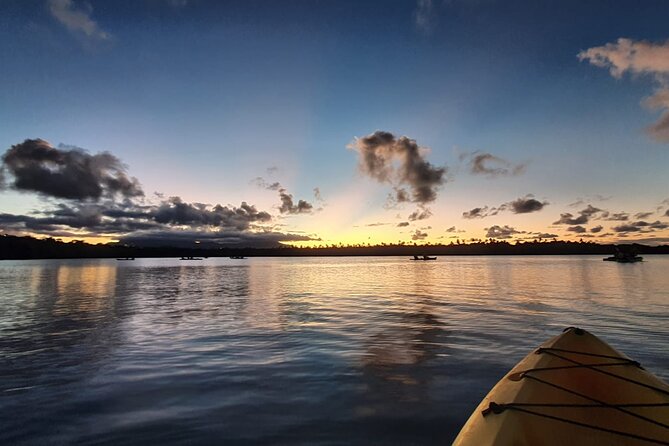 Fajardo Bioluminescent Bay Night Kayak Adventure From San Juan - Important Safety Guidelines