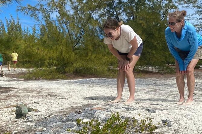 FAMOUS SHIPWRECK, Tiki Bar & Iguana Island Private Jet Ski Tour - Accessibility Details