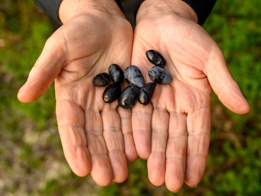 Farm to Fork Experience-Short Cooking Course - What to Bring and Restrictions