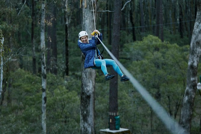 Forest Adventures - Safety Measures and Equipment