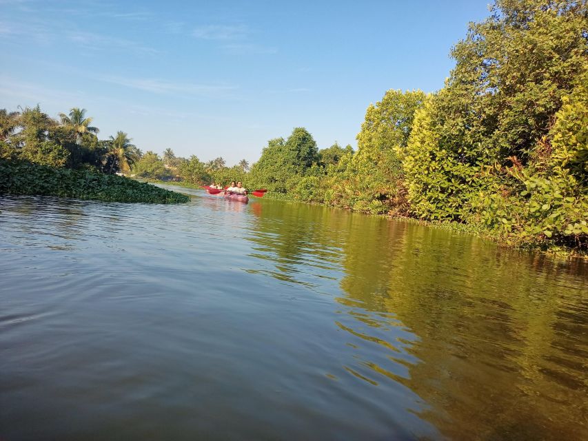 Fort Kochi Sightseeing on Tuk Tuk / Car & Backwater Kayaking - Inclusions and Exclusions