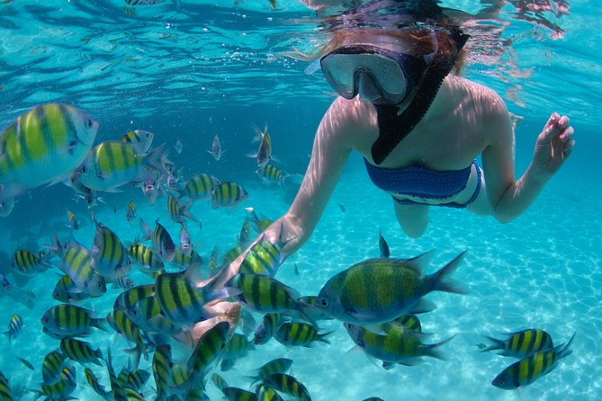 Freeport Snorkeling Peterson Cay National Park and Hotel Day Pass - Cancellation and Refund Policy