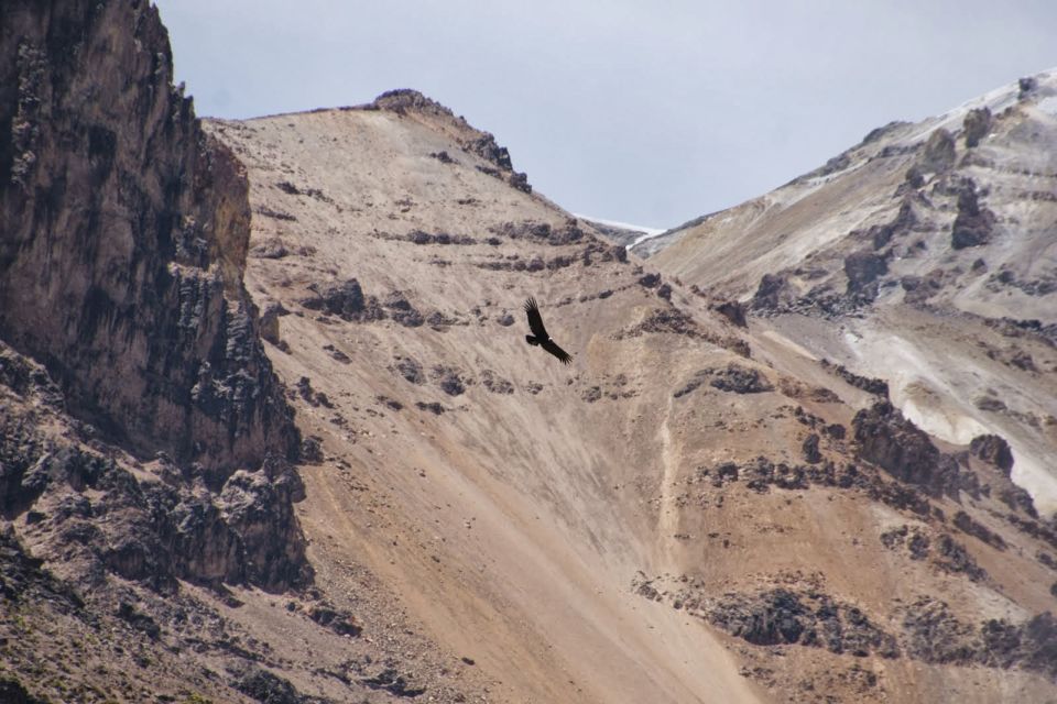 From Arequipa: Colca Valley/Canyon 2-Day Tour & Horse Riding - Inclusions and Exclusions