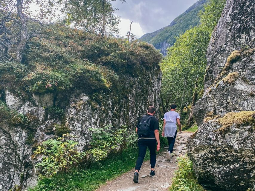 From Bergen: Folgefonna National Park & Glacier Lake Tour - Reviews and Participant Feedback