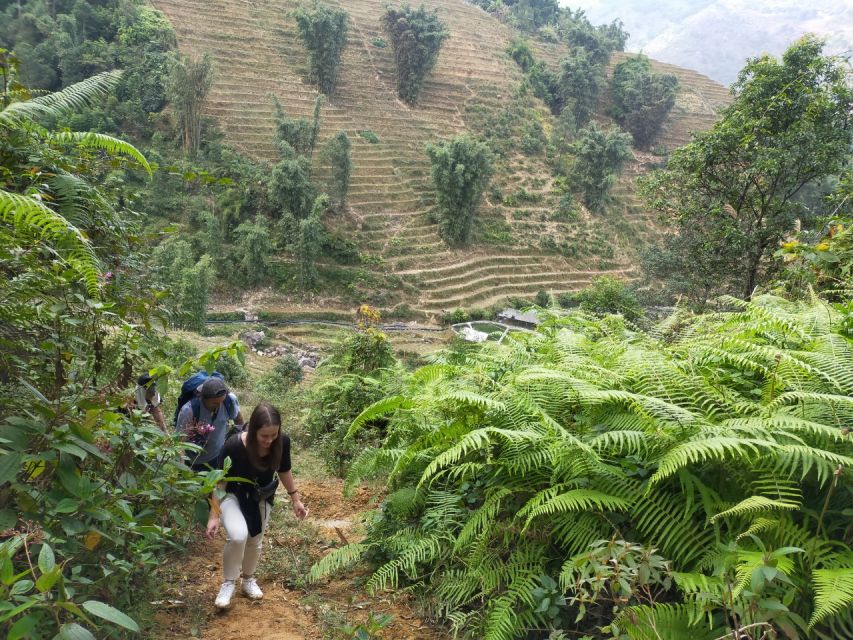 From Hanoi: Guided 2-Day Tour of Sa Pa With Lunch & Dinner - Customer Reviews and Feedback