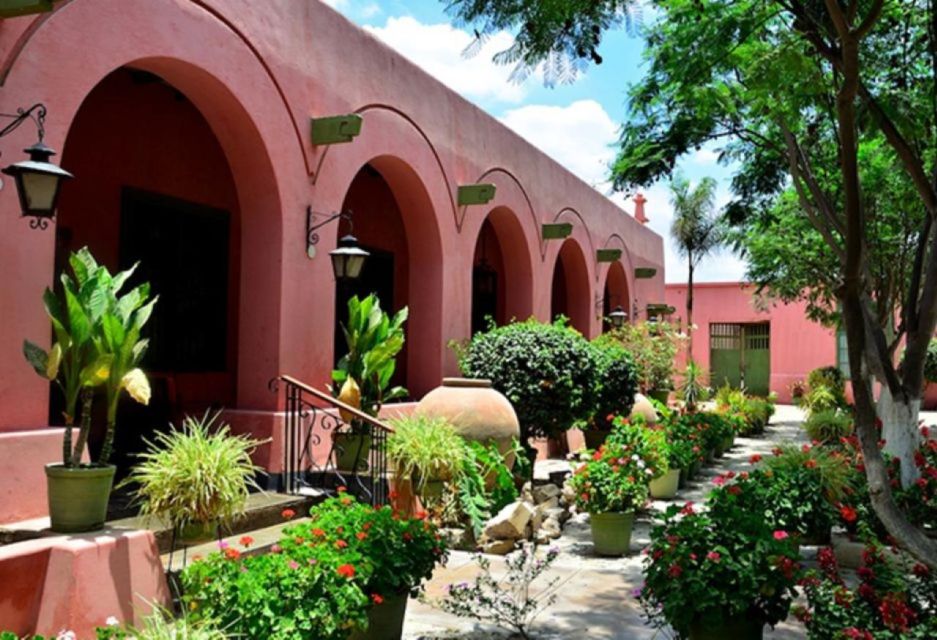 From Ica: Tour to Wine and Pisco Vineyards | Free Tasting | - Tips for Visitors