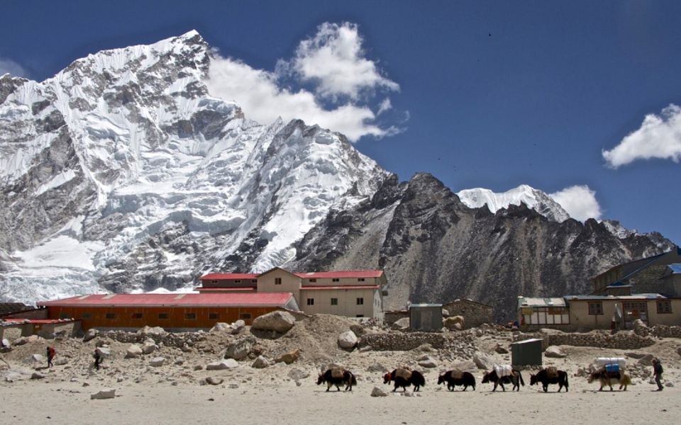 From Ktm: 7 Day Everest Base Camp Trek With Helicopter Tour - Health and Safety Considerations