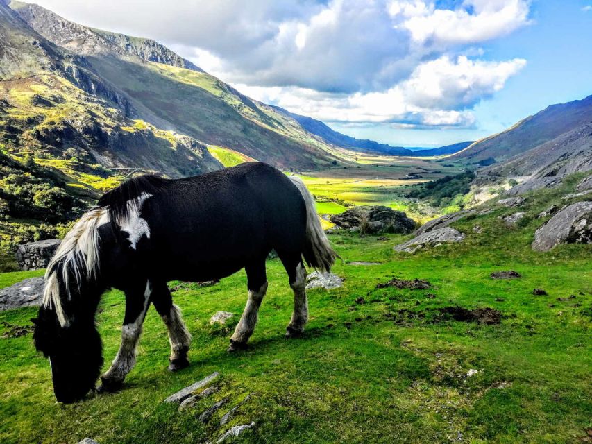 From Liverpool: North Wales Adventure Sightseeing Day Trip - Scenic Snowdonia National Park