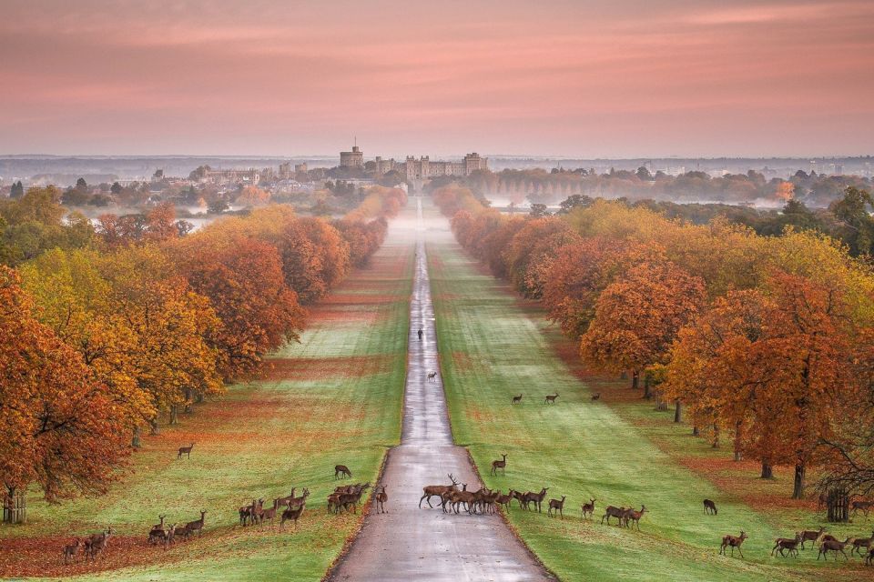 From London: Windsor Castle Afternoon Sightseeing Tour - Customer Reviews and Ratings