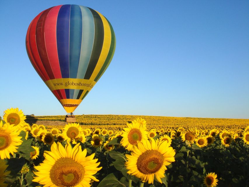 From Madrid: Hot Air Balloon Ride in Segovia With Pickup - Customer Feedback and Ratings