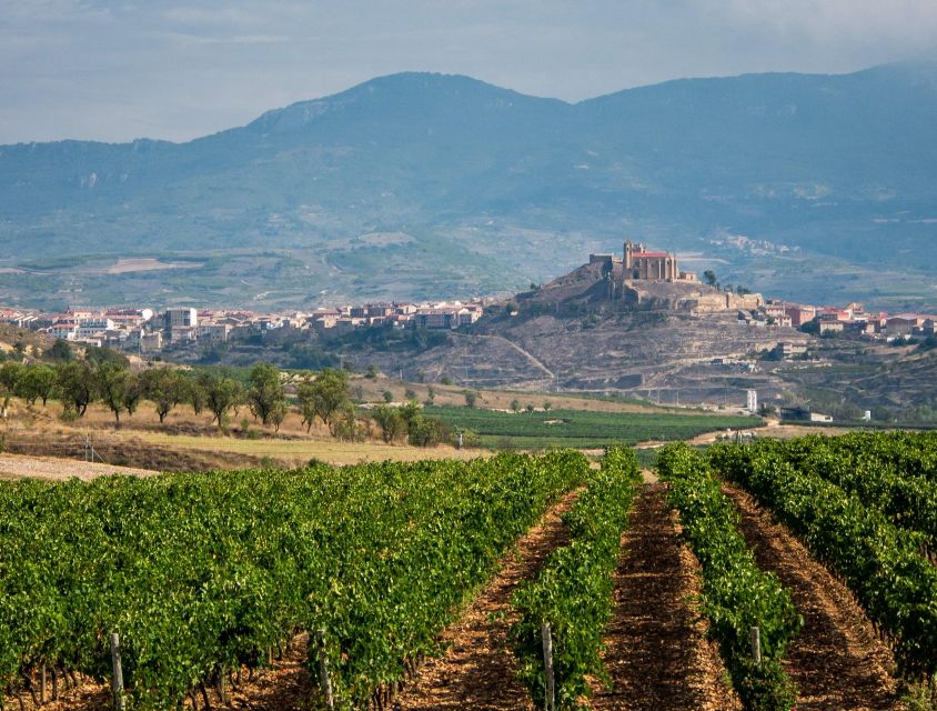 From Madrid: La Rioja & the Basque Country 4 Day Tour - Visit Winery Lecea