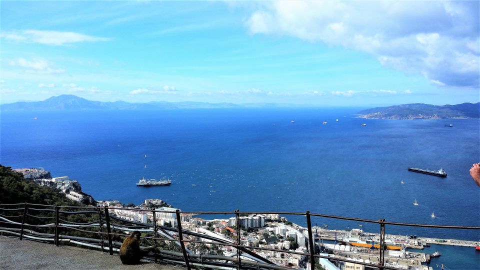 From Marbella: Guided Private Trip to Gibraltar and Estepona - Customer Feedback