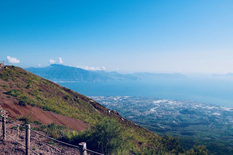 From Naples: Pompeii and Vesuvius Guided Day Trip With Lunch - Inclusions and Pricing