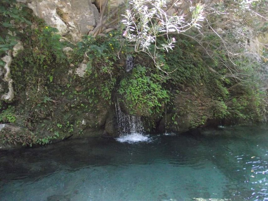 From Rethymno: River Trekking Trip at Kourtaliotiko Gorge - Customer Reviews and Feedback