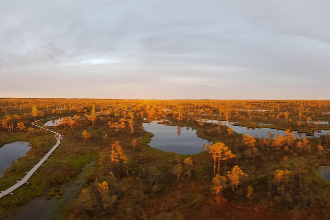 From Riga: Best of Kemeri National Park In One Day - Pricing and Inclusions