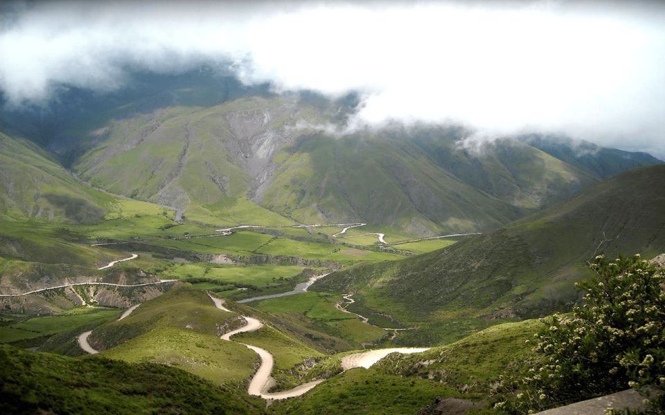 From Salta: Cachi and Los Cardones National Park Tour - Customer Feedback