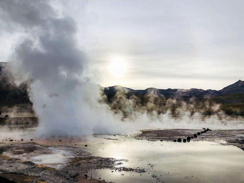From San Pedro De Atacama: Geysers Del Tatio Half-Day Tour - Customer Reviews