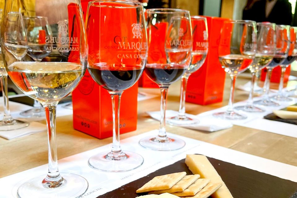 From Santiago: Concha Y Toro Marqués Half-Day Wine Tasting - Accessibility and Restrictions