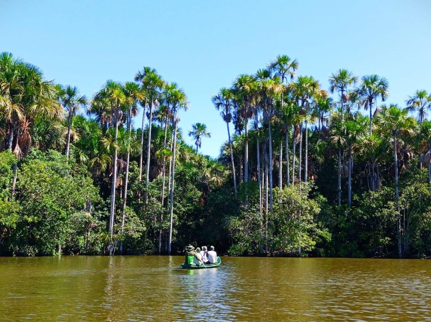 From Tambopata: Amazon Jungle Hike and Lake Sandoval 1-Day - Customer Experiences