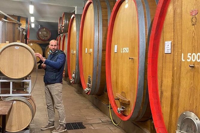 Full Day Barolo&Barbaresco Wine Tour From Milano With a Local Winemaker - Accessibility Features