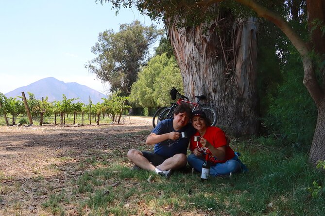 Full-Day Private Maipo Valley Bike Tour and Wine Tasting From Santiago - Local Culture and Interaction