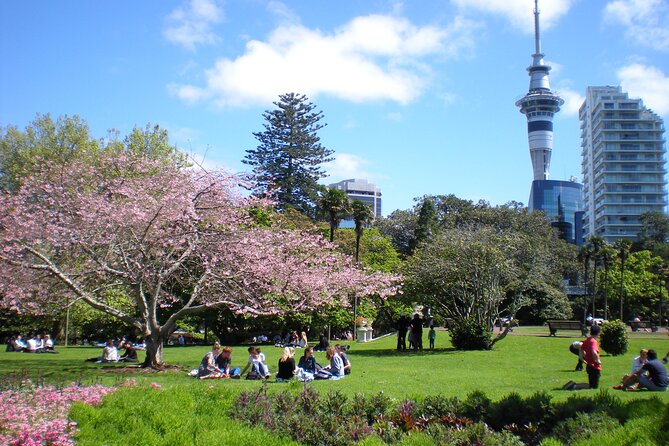 Full Day Private Shore Tour in Auckland From Bay of Islands Port - Tour Conditions