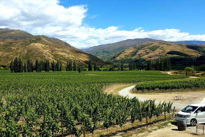 Full-Day Sommelier Guided Private Wine Tour of Central Otago - Customer Feedback