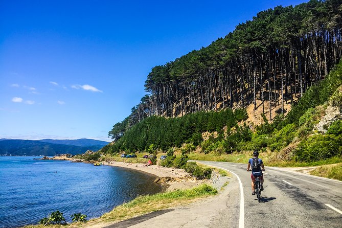 Full-Day Wellington Self-Guided Electric Bike Tour - Customer Experiences