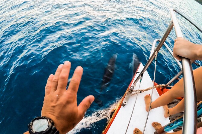 Full-Day Whitsunday Sail and Snorkel Adventure With Lunch - Traveler Reviews
