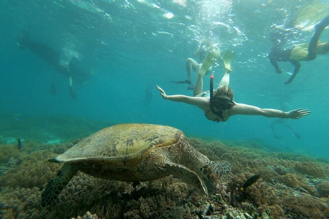 Gili Trawangan,Gili Meno& Gili Air Island:Snorkeling Day Trip Depart From Lombok - Customer Experiences