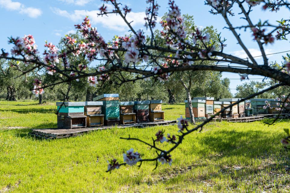 Golf Cart Tour and Aperitif in the Ancient Masseria - Important Information