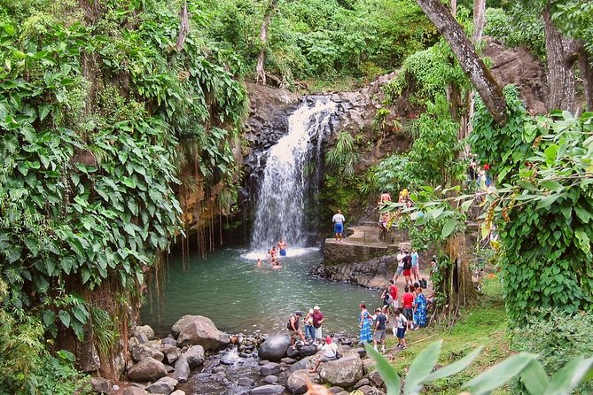 Grand Etang Lake & National Park, Annandale Falls & Fort Frederick Tour - Traveler Reviews