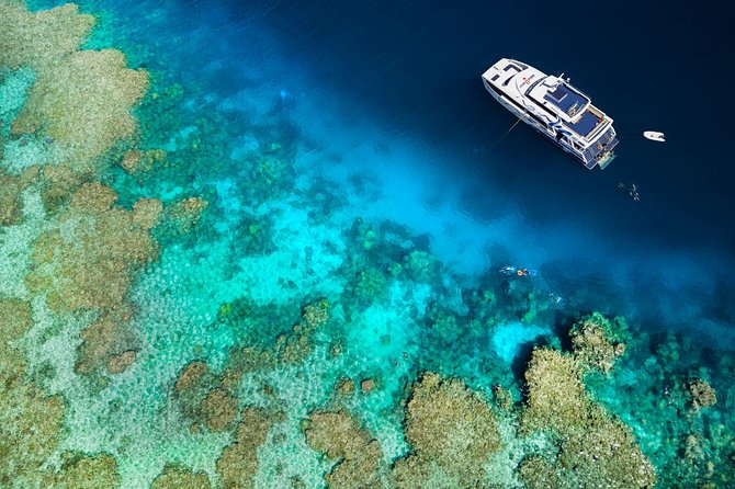 Great Barrier Reef Diving and Snorkeling Cruise From Cairns - Customer Reviews