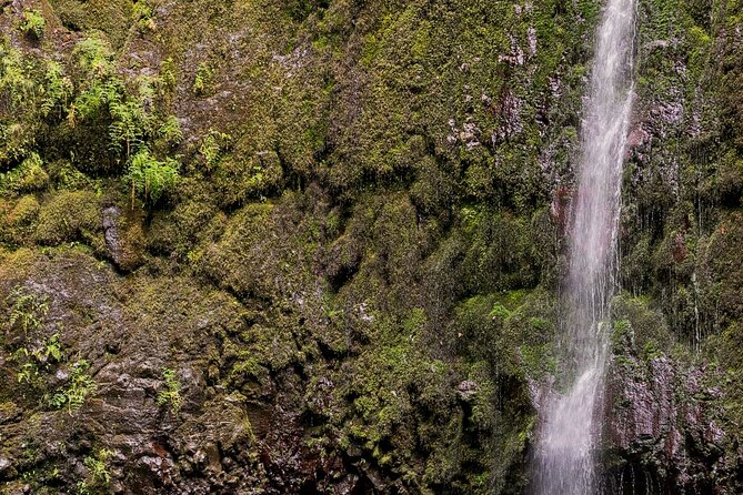 Green Cauldron Levadas Walk in Madeira - Experience Level