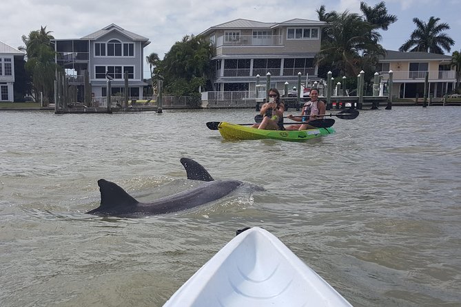 Guided Kayak Eco Tour - Bunche Beach - Accessibility Options