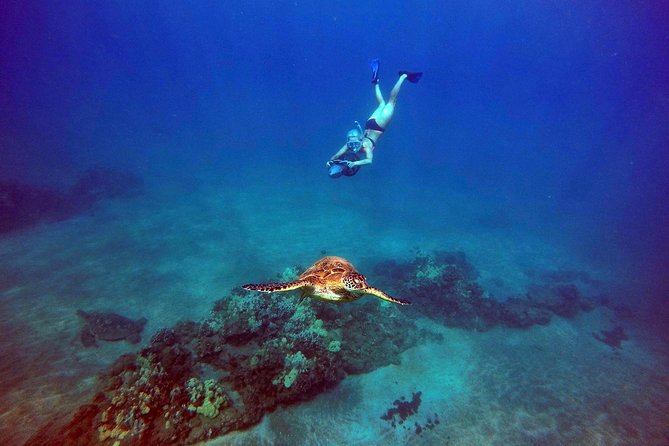 Guided Sea Scooter Snorkeling Tour Wailea Beach - Customer Feedback