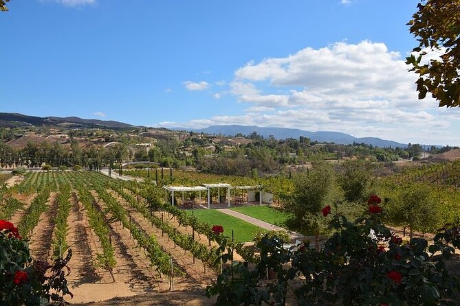 Guided Temecula Wine Tour From San Diego - Important Booking Information