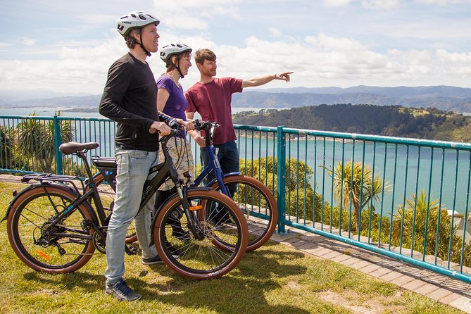 Guided Wellington Sightseeing Tour by Electric Bike - Customer Reviews and Feedback