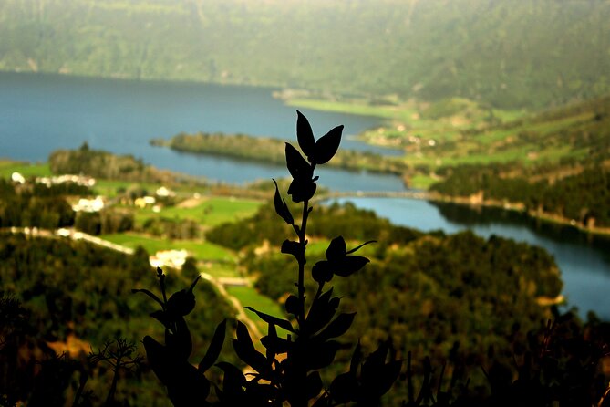 Half-Day 4x4 Tour to Lagoa Das Sete Cidades - Experience Highlights