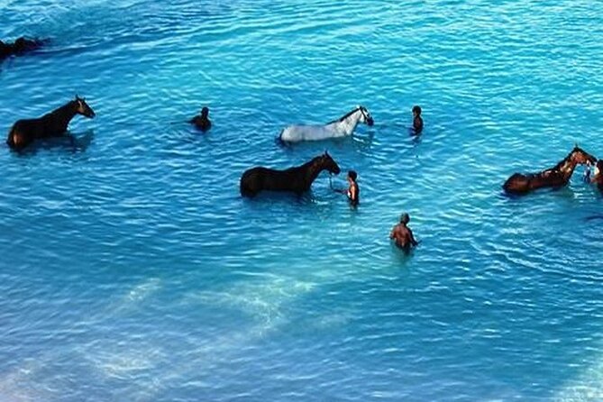 Half-Day Beach Horse Back Riding in Puerto Plata - Booking Information