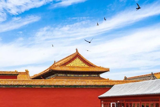 Half Day Beijing Group Tour to Tiananmen Square and Forbidden City - Traveler Experiences