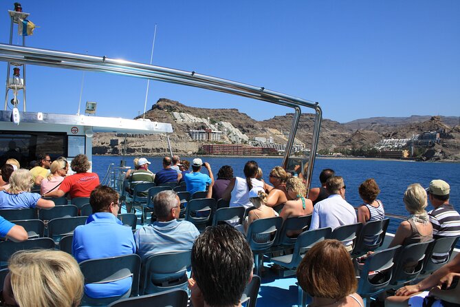 Half-Day Cruise Tour-Dolphin and Whale Watching - Customer Feedback